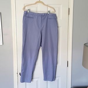 Periwinkle ankle length pants.